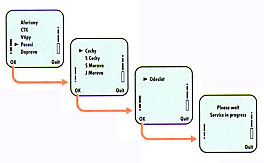 SIM TOOLKIT